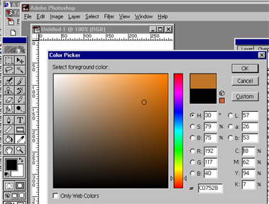 color.jpg (53064 bytes)