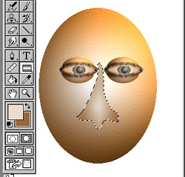 nose.jpg (35795 bytes)