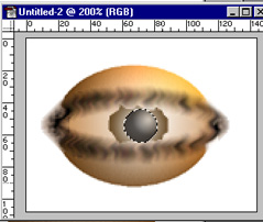pupil.jpg (27735 bytes)