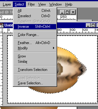 selecteye.jpg (59214 bytes)
