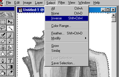 conchselect.JPG (57159 bytes)