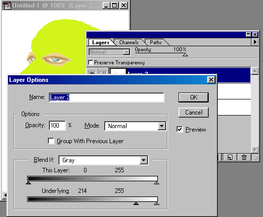 layer7.JPG (65635 bytes)