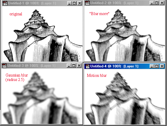 shellblur.GIF (69886 bytes)