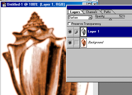 shellcombine.GIF (56162 bytes)