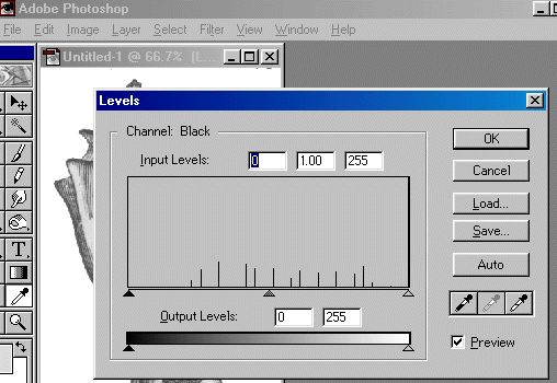 shelllevels.GIF (24935 bytes)