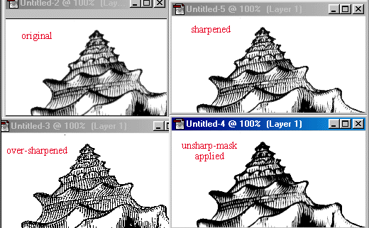 shellsharp.GIF (35316 bytes)