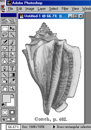 shellstart.GIF (31327 bytes)