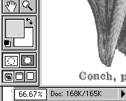 shellstatus.GIF (5244 bytes)