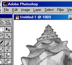 shellzoom.GIF (14144 bytes)