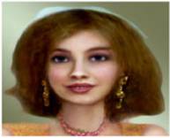 fliterComponentTransfer1