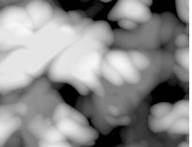 filterComponentTransfer4